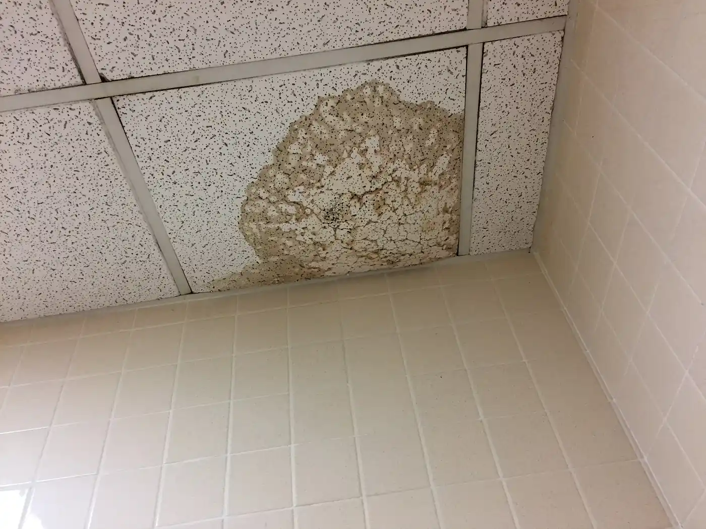 Ceiling with water damage from years of neglect in a closed house